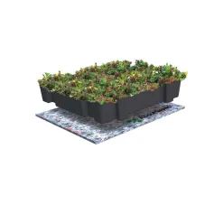 AboutGreen Gründachsystem Click und Go bis 15 Dachneigung 45 x 49,5 cm