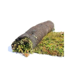 AboutGreen Gründachsystem Aromadach bis 10 Dachneigung 1 m²