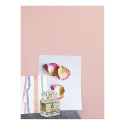 Feine Farben Wolken in Rose 2,5 L^Alpina Online