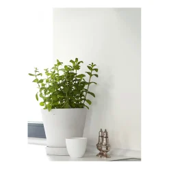 Alpina Feine Farben Zeit der Eisblumen 2,5 L