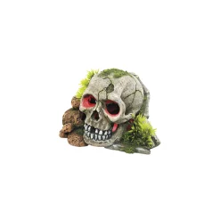 Aqua Ornaments Schädel mit Pflanzen LED 15,5 x 13,3 x 9,5 cm^ Best