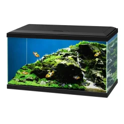 Aquarium Aqua 60 LED 58 L schwarz 60 x 30 x 33,5 cm*