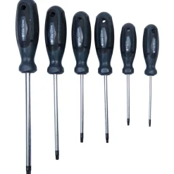 Schraubendrehersatz TX 6 teilig^Basic