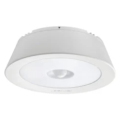 Batteriebetriebene Leuchte MB981