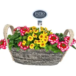 Bepflanzter Seegraskorb 31x14 cm, verschiedene Bepflanzungen