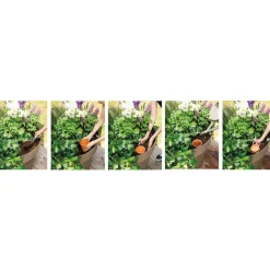 Bewässerungskegel Aquado* New