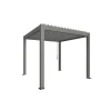 Biohort Pergola Gr. 3 x 3 quarzgrau/silber-metallic