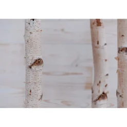 Birkenstamm Länge 180 cm Durchmesser 4-6 cm* Outlet