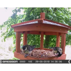 Bresser Vogelkamera