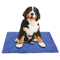 Champs Kühlmatte S 50 x 40 cm blau