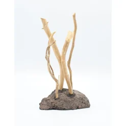 Coffee Rock klein* Online