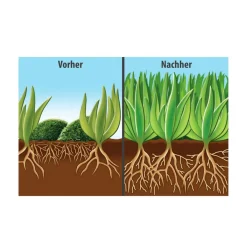 FLORANID Rasendünger mit Moosvernichter für 100 m² 3 L*Compo Hot