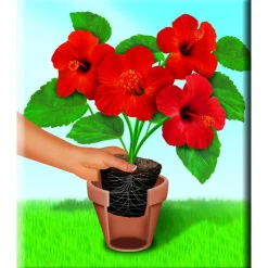 Qualitäts-Blumenerde 50 L^Compo Outlet