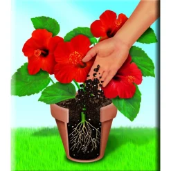 Qualitäts-Blumenerde 50 L^Compo Outlet