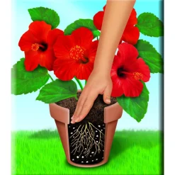 Qualitäts-Blumenerde 50 L^Compo Outlet