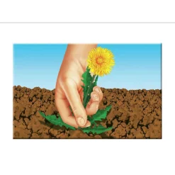 Rasensaat Spiel und Sport Aktion 4 kg*Compo Best