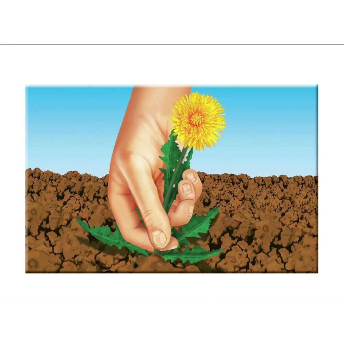 Compo Rasensaat Spiel und Sport 5 kg für 250 m²