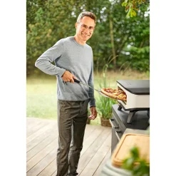 Pizzaofen Elektro 230V mit Tür und Pizzastein 2200 W*COZZE Sale