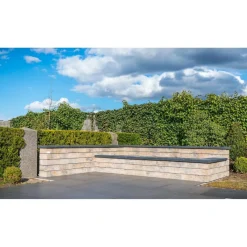 Mauersteine Top 60 x 25 x 12,5 cm Muschelkalk*Diephaus New