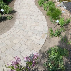 Pflaster Antik Muschelkalk 21 x 14 x 7 cm 1,05 m2 pro Lage^Diephaus Hot