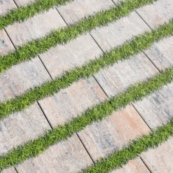 Pflaster Edition Eco muschelkalk 30 x 20 x 6 cm^Diephaus Best