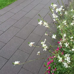 Pflaster Major basalt mit Glimmer 0,96m2 pro Lage*Diephaus Clearance