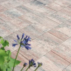 Terrassenplatte No. 1 Nature muschelbeige 50 x 25 x 4 cm*Diephaus Sale