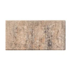 Terrassenplatte No. 1 Light muschelkalk 40 x 20 x 4 cm*Diephaus Outlet