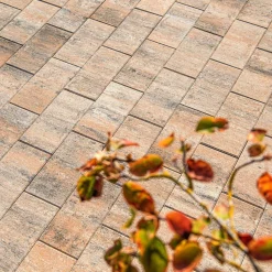 Terrassenplatte No. 1 Light muschelkalk 40 x 20 x 4 cm*Diephaus Outlet