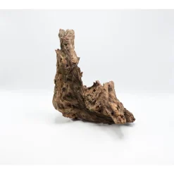 Driftwood Wurzel 25 x 8 cm* Online