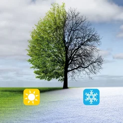 Einhell Universal Streuer GE-US 18 Li-Solo