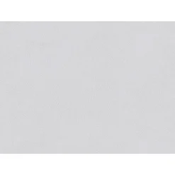 Vliesfaser Basic 103 weiß 1005 x 53 cm*Erfurt Hot