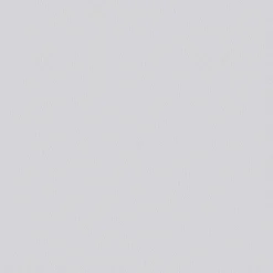 Vliesfaser Basic 105 weiß 1005 x 53 cm*Erfurt Best