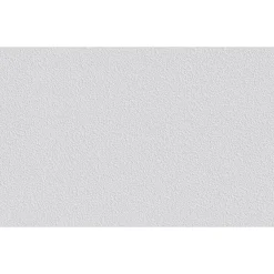 Vliesfaser Protect 206 weiß 1005 x 53 cm^Erfurt Best