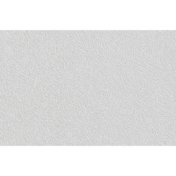 Vliesfaser Protect 209 weiß 1005 x 53 cm^Erfurt Online