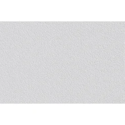 Vliesfaser Protect 204 weiß 1005 x 53 cm*Erfurt Outlet