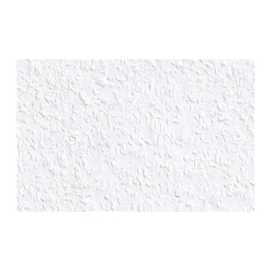 Erfurt Rauhfaser Classico 2000 x 53 cm