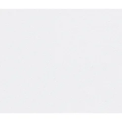 Erfurt Vlies Rauhfaser Classico