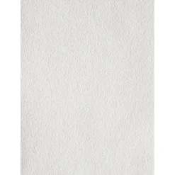 Vlies Rauhfaser Viva*Erfurt