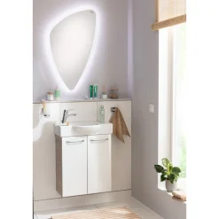 Gäste-WC Waschtischunterschrank SBC 520 x 600 x 243 mm Alaska-Esche/Weiß^Fackelmann