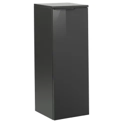 Midischrank LUNA 302 x 826 x 320 mm anthrazit^Fackelmann Sale