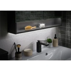 Spiegelschrank LUNA 800 x 793 x 153 mm anthrazit*Fackelmann Clearance