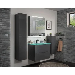 Spiegelschrank LUNA 800 x 793 x 153 mm anthrazit*Fackelmann Clearance