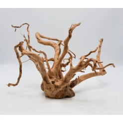 Fingerwurzel 50-70 cm* Sale