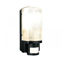 Außenwandleuchte Simon mit Bewegungsmelder schwarz^Flector Online