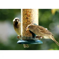 Futterspender zum Aufhängen 9,5 x 9,5 x 23 cm Metall Dunkelgrün