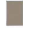 Thermo-Rollo taupe 122x160 cm^Gardinia