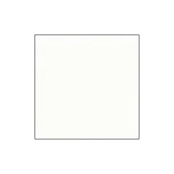 Flächenvorhang 245 x 60 weiß^Gardinia New