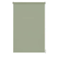 Rollo Easyfix mintgrün 100 x 150 cm^Gardinia New