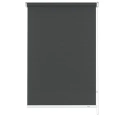 Seitenzugrollo 62 x 180 cm Uni grau^Gardinia New